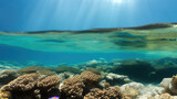 Fototapeta Do akwarium - seascape in the shallow water of the coral reef in caribbean sea, Generative AI