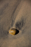 Fototapeta Desenie - Creative beach sand with small stones