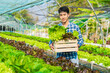 © M+Isolation+Photo - smart young Asian farmer records the quality and quantity of an organic hydroponic vegetable garden.