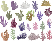 Illustration Of Watercolor Coral Reefs