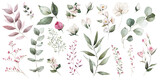 Fototapeta Sypialnia - Watercolor floral illustration bouquet set - green leaves, pink peach blush white flowers branches. Wedding invitations, greetings, wallpapers, fashion, prints. Eucalyptus, olive, peony, rose.