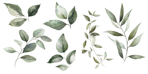 Wall Mural - Watercolor floral bouquet branches with green pink blush leaves, for wedding invitations, greetings, wallpapers, fashion, prints. Eucalyptus, olive green leaves.