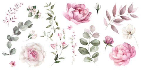 Wall Mural - Watercolor floral illustration elements set - green leaves, pink peach blush white flowers, branches. Wedding invitations, greetings, wallpapers, fashion, prints. Eucalyptus, olive, peony, rose.