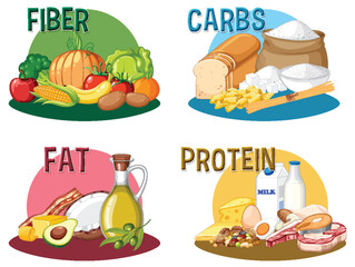 Wall Mural - Food nutrition groups set