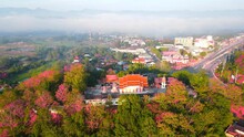 Aerial View POI The Red Church Of Buddhism Temple On Top Of The Mountain With Pink Trees Blossoming And Sea Mist Over The City Are Background In Mae Sariang District Of Mae Hong Son Province Thailand.