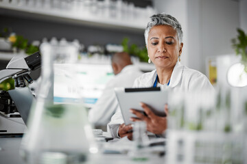 Wall Mural - woman, reading or tablet in science laboratory in medical research or innovation ideas of genetic gm