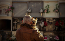 Rear View Of Adult Man Hugging Small Dog In Cemetery