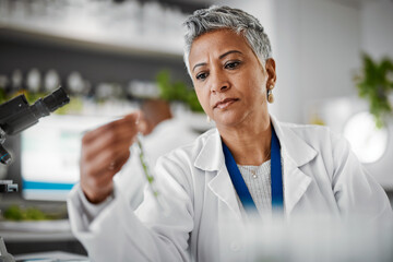 Wall Mural - plant scientist, thinking or test tubes in laboratory pharma, medical science research or gmo food e