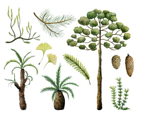 watercolor set of prehistoric ancient plants and trees from dinosaur era isolated on white backgroun