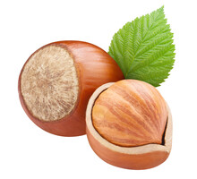 Hazelnuts With Leaves Cut Out