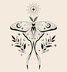 Mystic moth isolated vector illustration. Magic moon, occult, print, tattoo, poster.