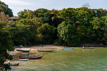 Beautiful bay surrounded by palm trees with wooden boats of fishermen