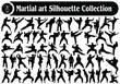 Martial art Male or Female silhouettes Vector Collection