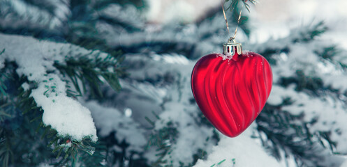 Wall Mural - Valentines day background with red heart on snow covered pine branch