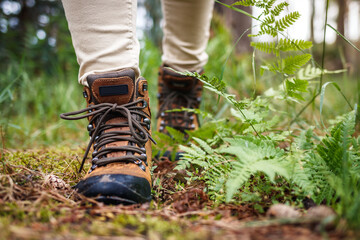 Wall Mural - tourist with hiking boots walking in forest. waterproof leather ankle boot