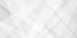© Sajjad - Abstract background with gray background with texture, white abstract modern background. Geometry shine and layer element vector for presentation design. Decorative web layout or poster, banner.design