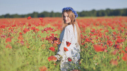 Wall Mural - Ukrainian girl walking through a red poppy field.