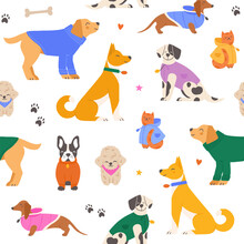 Seamless Pattern With Cute Dogs And A Cat Wearing Colorful Winter Outfits. Colorful Hand Drawn Background Vector Illustration.