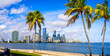 the skyline of miami with palm trees, florida