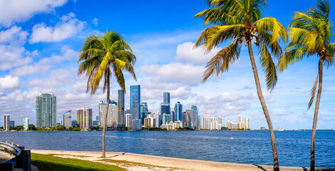 Wall Mural - the skyline of miami with palm trees, florida