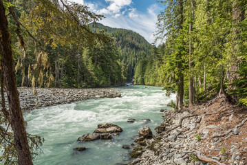 Beautiful high mountain green river with riverbanks full of trees in Nairn Falls Provincial Park British Columbia Canada