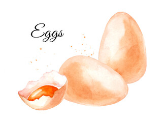 Chicken eggs. Ingredient for baking and cooking. watercolor hand drawn illustration