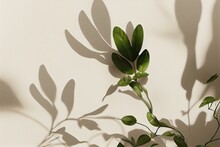 White Flower Branch Leaves And Sunlight Shadows On Neutral Beige Wall. Aesthetic Floral Shadow Silhouette Background. Generative AI