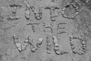 Wall Mural - Letters made of individual stones along a hiking trail with the phrase: Into the wild