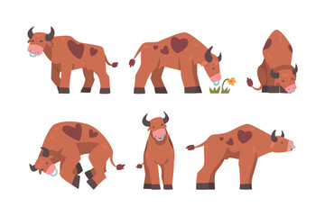 Poster - Bull with Horns and Ring in the Nose as Domestic Cattle with Hoof in Different Pose Vector Set