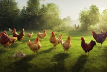 A Group Of Hen Or Chicken In Farm Or Hen House, Concept Of Caring Farming Or Agriculture. An Eco-friendly Or Organic Farm. Free Cage Hen, Happy And Healthy Chicken In Outdoor Farm.. Generative AI