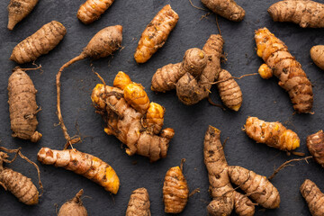 Sticker - Organic turmeric spice roots - Curcuma longa