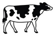 Whole Holstein spotted dairy cow or cattle flat vector icon for farm apps and websites