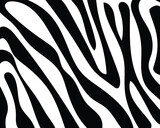 Fototapeta Konie - vector seamless zebra skin.