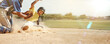 © Chanel M/peopleimages.com - Banner, running and man playing baseball for fitness, training and competition in a park in USA. Runner, sports and player with cardio, exercise and game of action sport for a team in nature