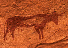 Rock Painting Depicting A Cow, Tassili N'Ajjer National Park, Tadrart Rouge, Algeria