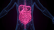 3d medical illustration of a man's digestive system