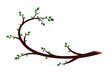 © designer_an - The green tree stylized symbol.