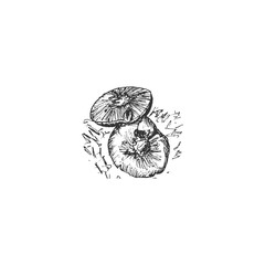 Canvas Print - Mushrooms sketch hand drawn icon isolated on white background  