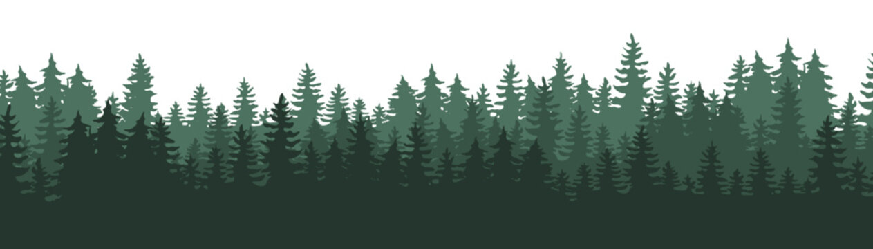 Fototapete - Forest blackforest vector illustration banner landscape panorama - Green silhouette of spruce and fir trees, isolated on white background