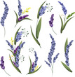 Floral vector set. Lovely delicate lavender sprigs with leaves. Flowers on white background 