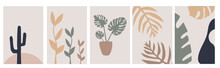 Collection Of Modern Simple Abstractions In Boho Style With Colored Plants (mostera, Cactus, Palm Leaves) On A Beige Background In Pastel Colors
