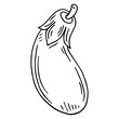 Hand drawn eggplant icon. Vector badge vegetable in the old ink style for brochures, banner, restaurant menu and market