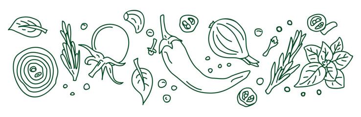 banner. spices and vegetables background. vector background with handmade herbs. sketch design.