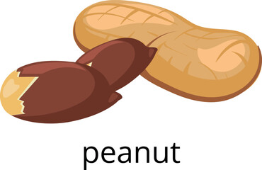 Wall Mural - Peanut shell nut icon. Healthy raw snack