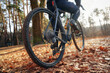 Cyclist on a gravel bike in autumn forest with multicolored leaves at sunny day. Low angle view.