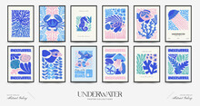 Underwater World, Ocean, Sea, Fish And Shells Vertical Flyer Or Poster Template. Modern Trendy Matisse Minimal Style. Hand Drawn Design For Wallpaper, Wall Decor, Print, Postcard, Cover, Template