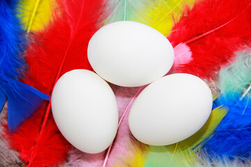 Wall Mural - White Easter eggs on a background of colorful bird feathers