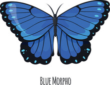 Blue Morpho Butterfly. Exotic Winged Moth Animal