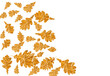 digital gemalte gold Eiche Blätter schneidepfad freiraum