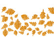 digital gemalte goldene Eiche Blätter schneidepfad freiraum